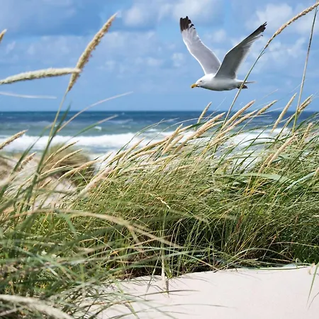 By The Seawall In Belgium Apartman *